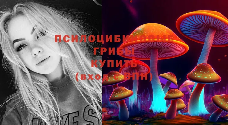 маркетплейс формула  сколько стоит  Братск  Галлюциногенные грибы MAGIC MUSHROOMS 